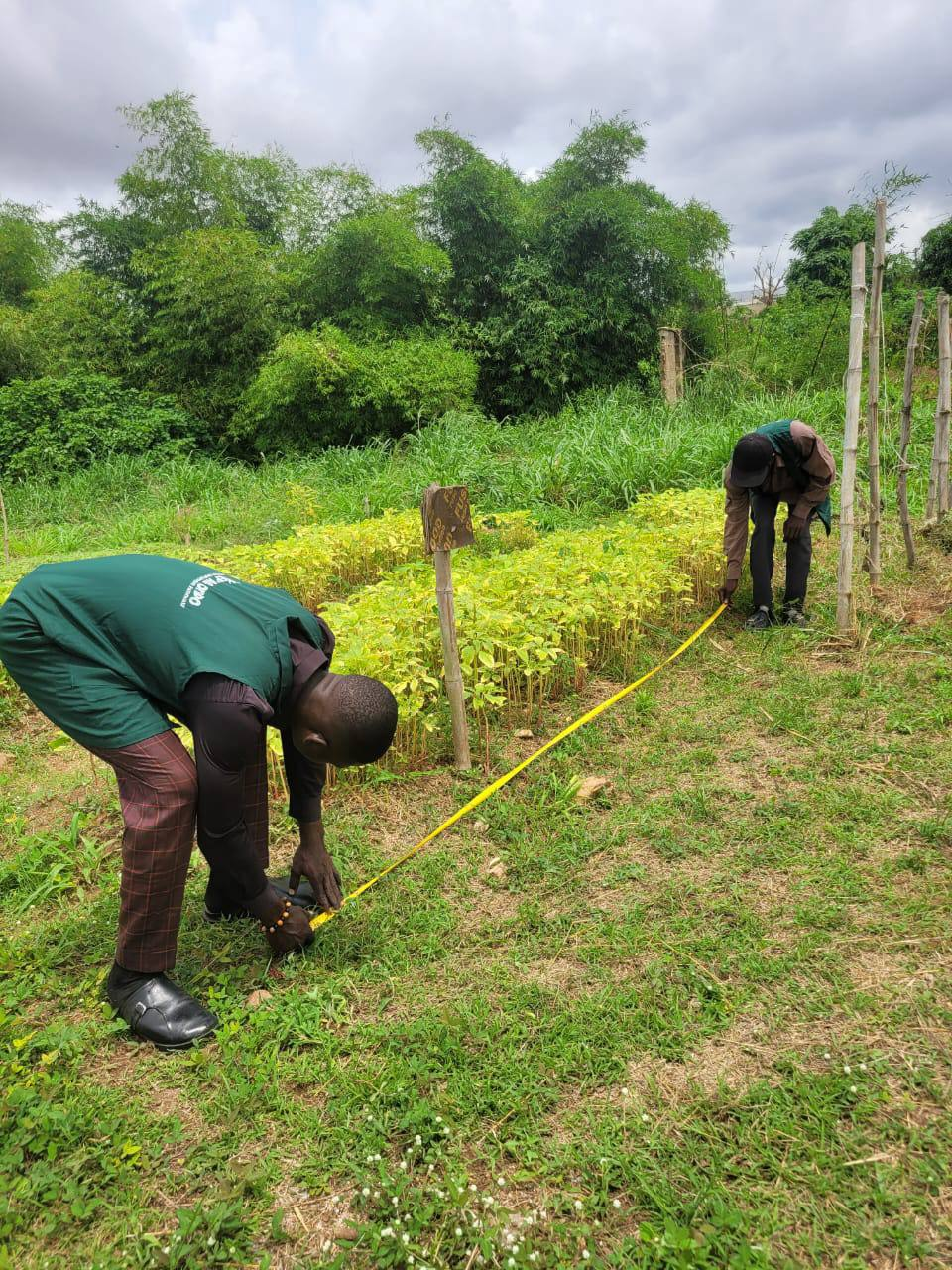 GSI-TECH Field Work